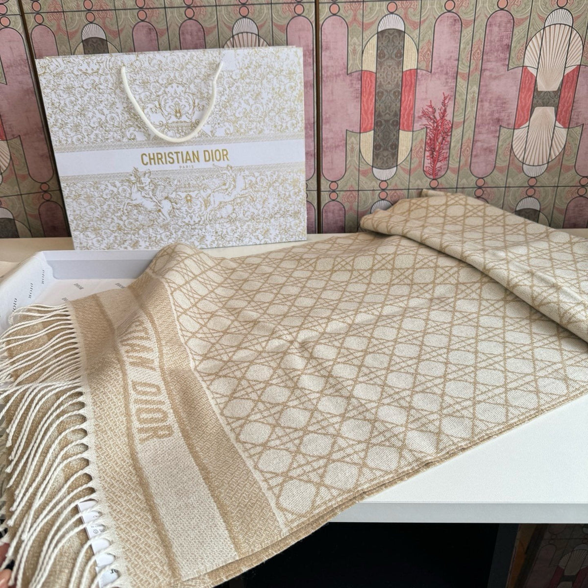 Dior Geometric Fringed Scarf — front