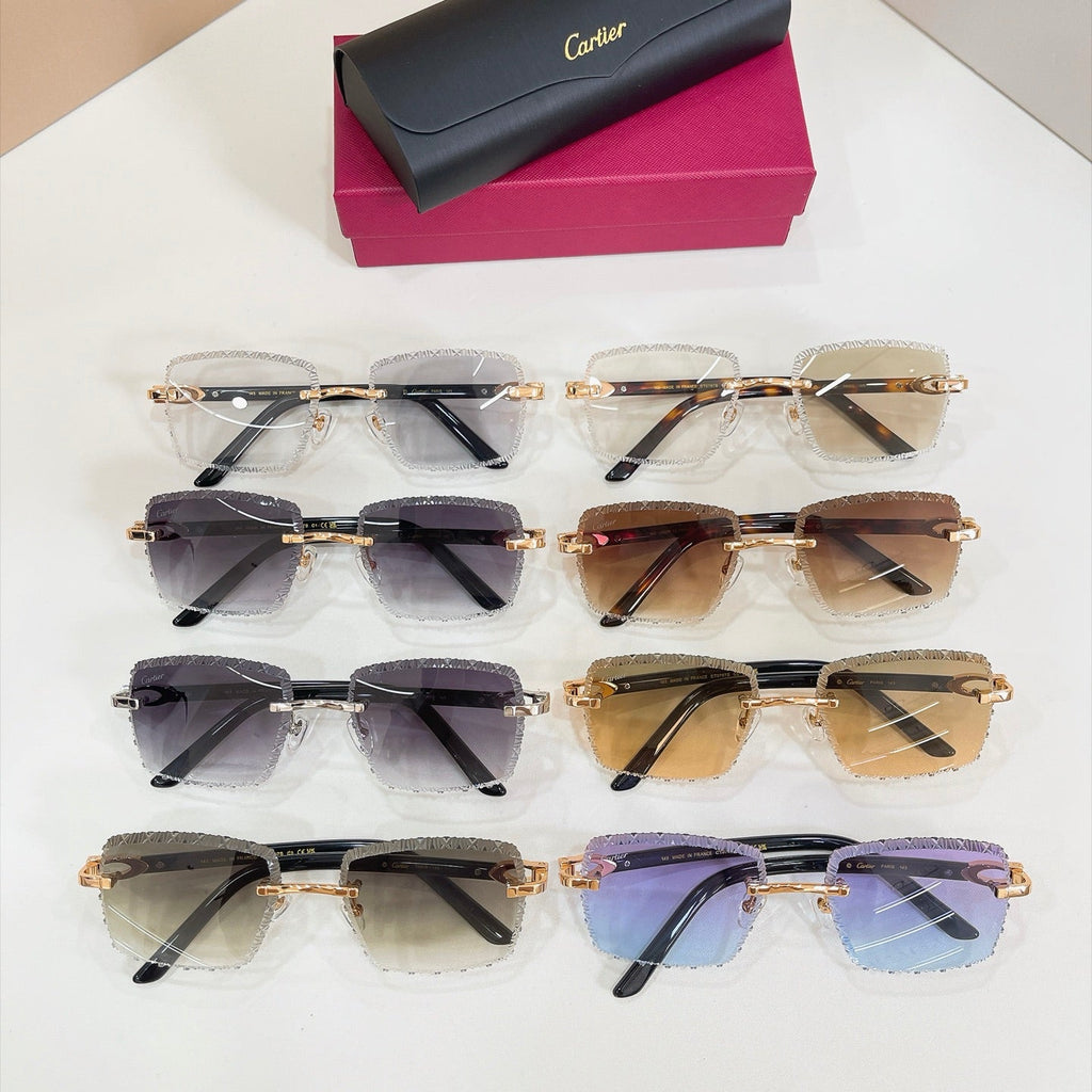 Cartier Sunglasses – CT0787S